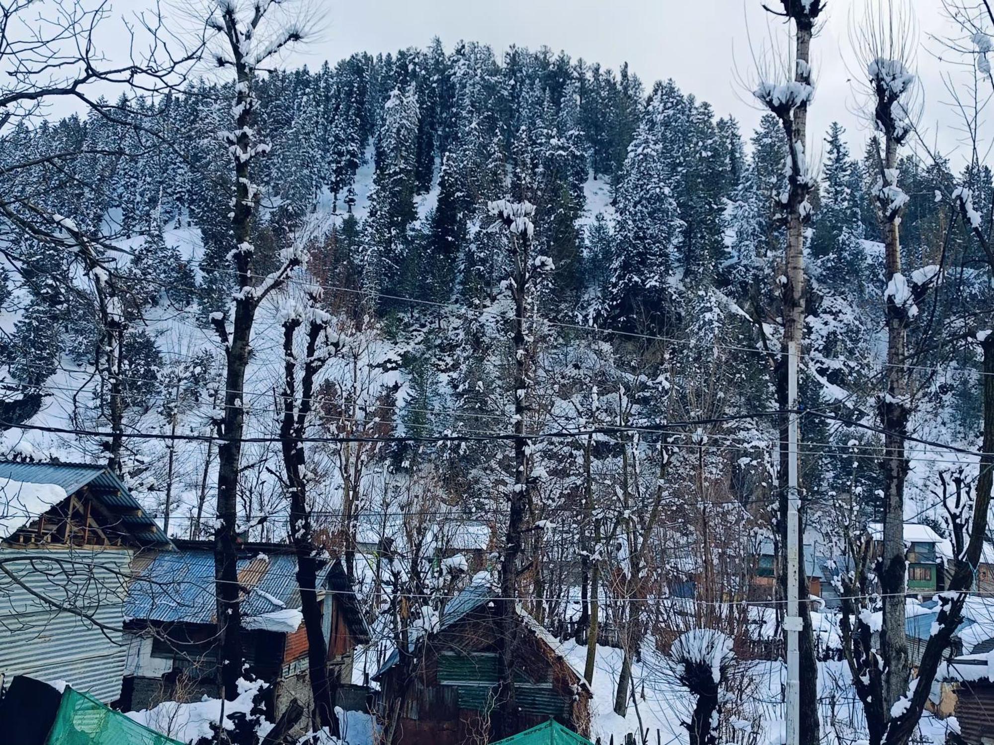 Mir Guest House Pahalgām Exteriör bild